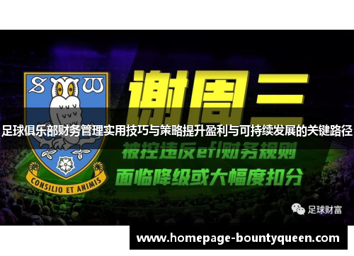 足球俱乐部财务管理实用技巧与策略提升盈利与可持续发展的关键路径 足球俱乐部财务管理实用技巧与策略提升盈利与可持续发展的关键路径