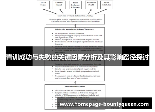 青训成功与失败的关键因素分析及其影响路径探讨
